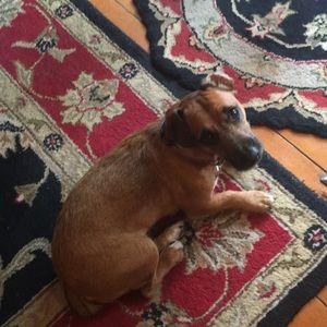 Meet your Posher, Roberta